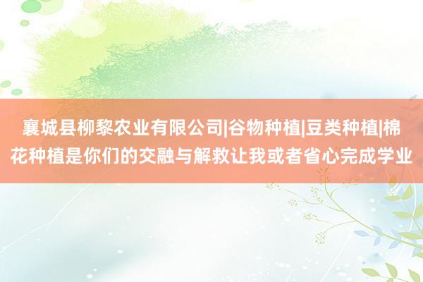 襄城县柳黎农业有限公司|谷物种植|豆类种植|棉花种植是你们的交融与解救让我或者省心完成学业