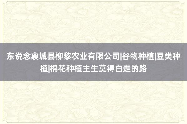 东说念襄城县柳黎农业有限公司|谷物种植|豆类种植|棉花种植主生莫得白走的路