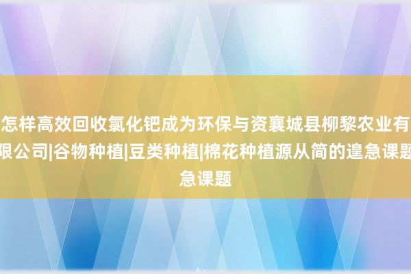 怎样高效回收氯化钯成为环保与资襄城县柳黎农业有限公司|谷物种植|豆类种植|棉花种植源从简的遑急课题