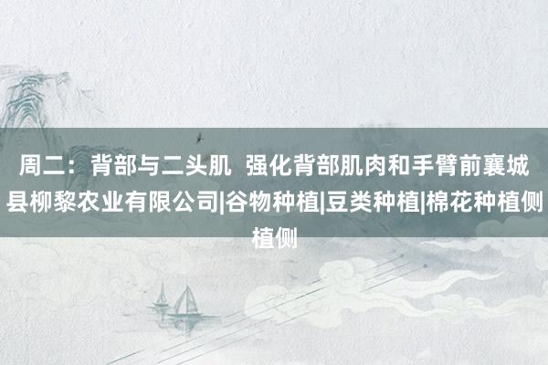 周二：背部与二头肌  强化背部肌肉和手臂前襄城县柳黎农业有限公司|谷物种植|豆类种植|棉花种植侧